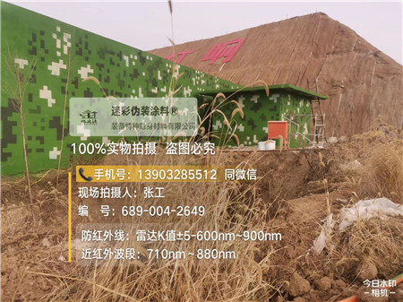 牡丹江星空迷彩墙施工队