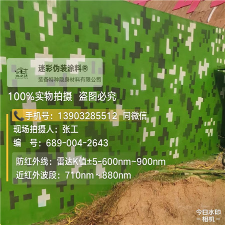 牡丹江星空迷彩漆，夏令营训练,数码迷彩作训墙,围墙